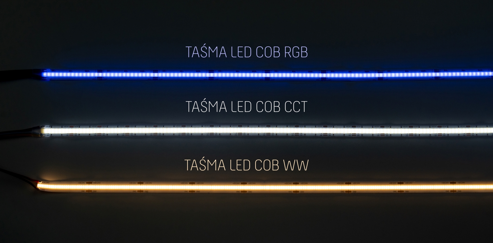 Taśma LED COB RGB, CCT, WW